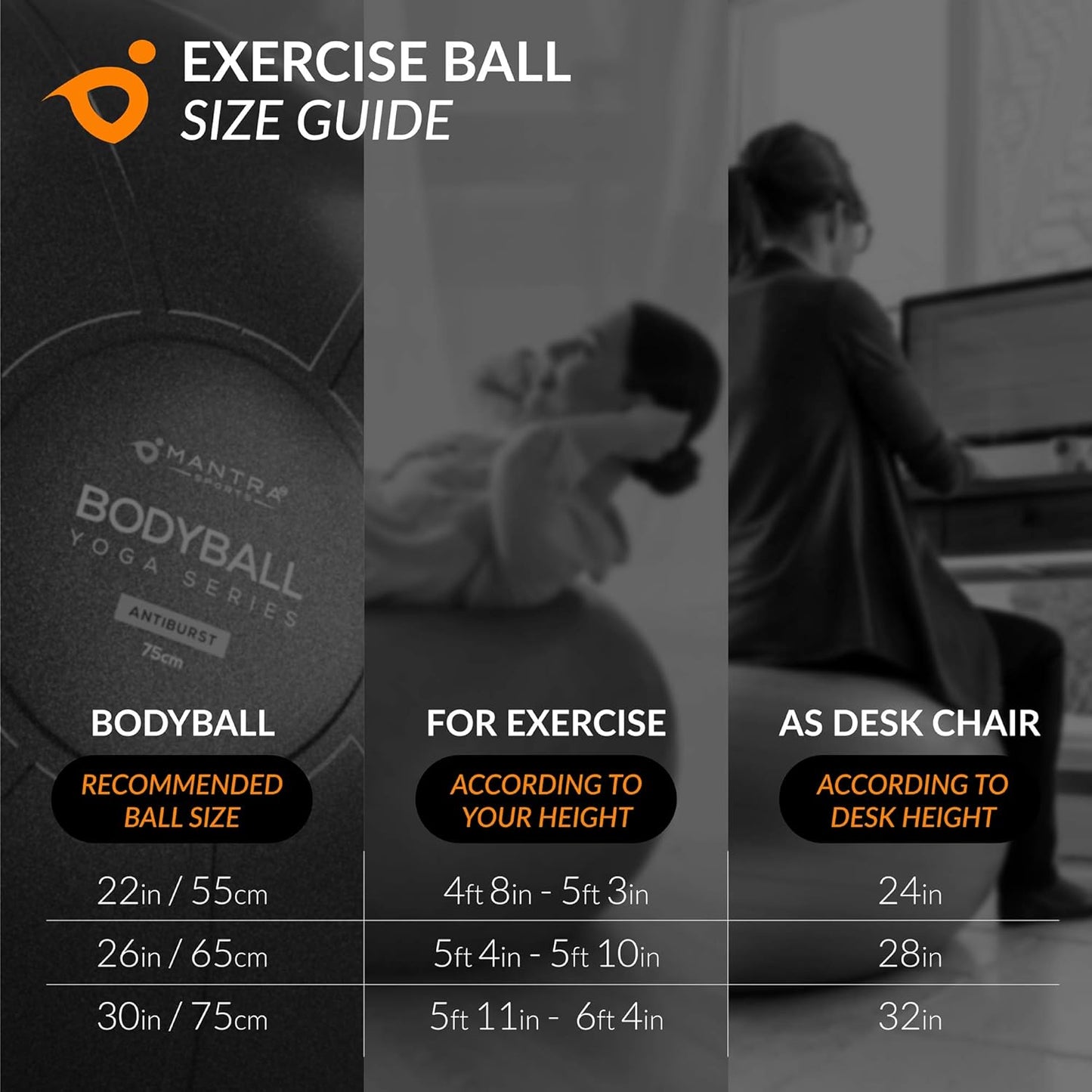 Exercise Yoga Ball