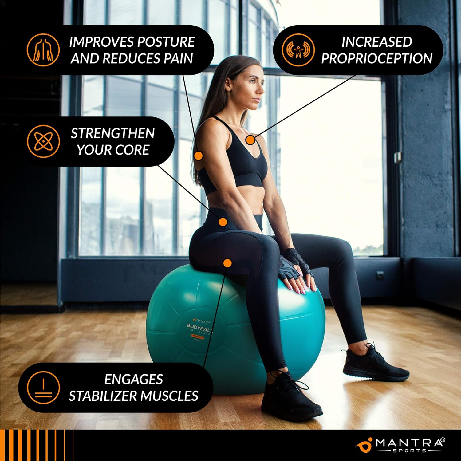 Exercise Yoga Ball